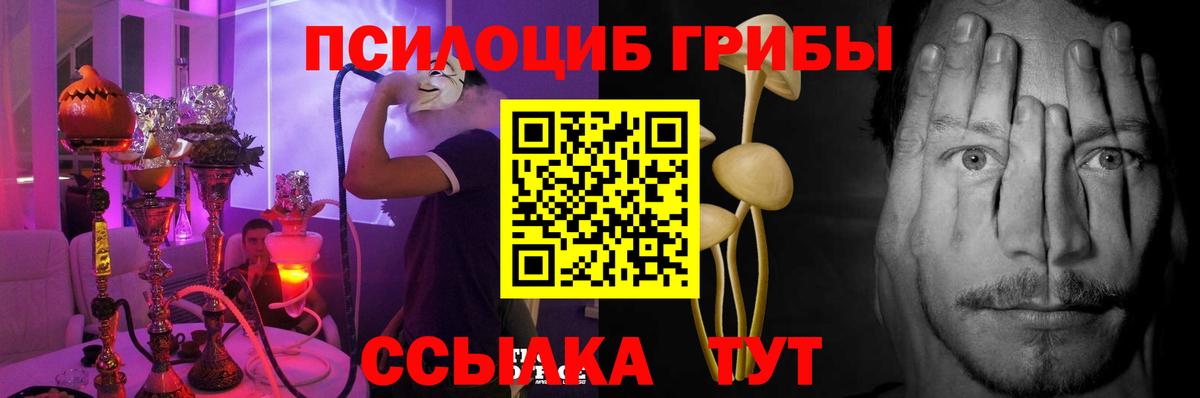 Псилоцибиновые грибы Psilocybe  хочу наркоту  Галлюциногенные грибы ЛСД  Мирный  Вход с VPN 